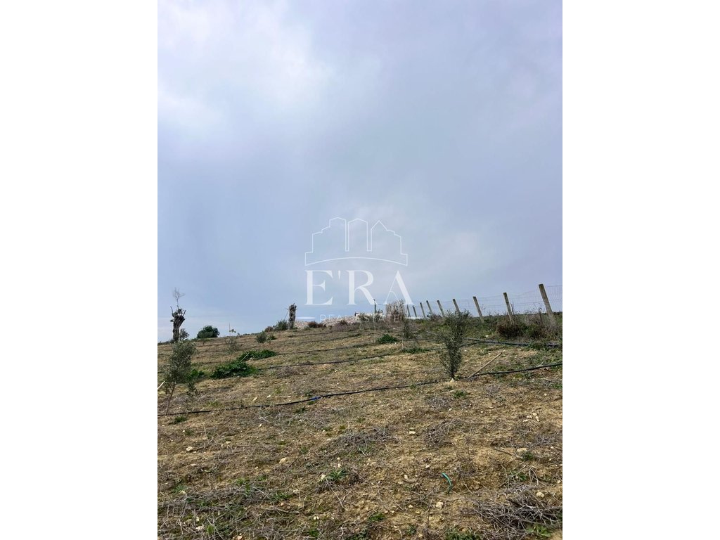 property-4