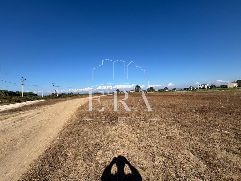 property-4