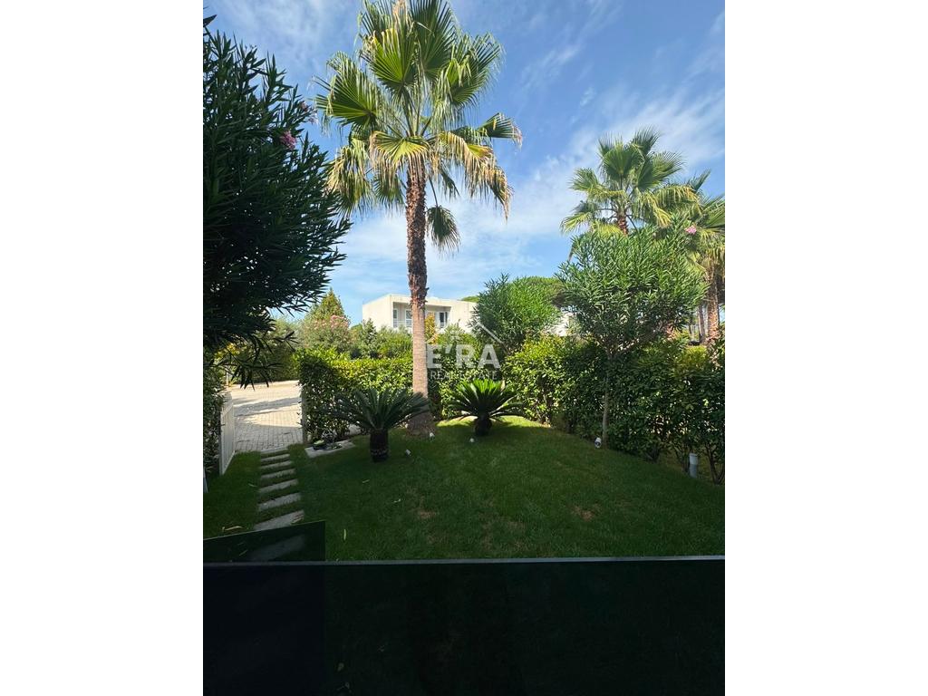 property-4
