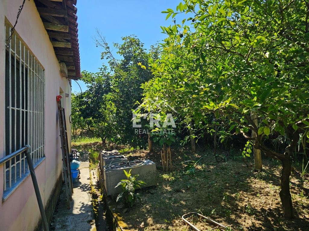 property-4