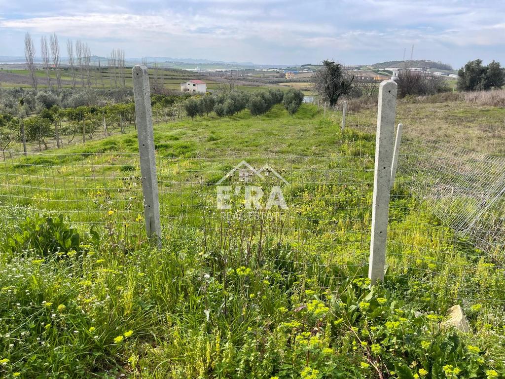 property-4