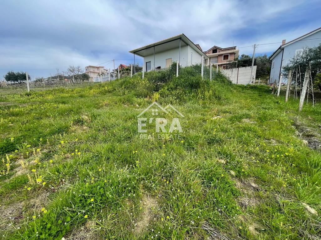 property-4