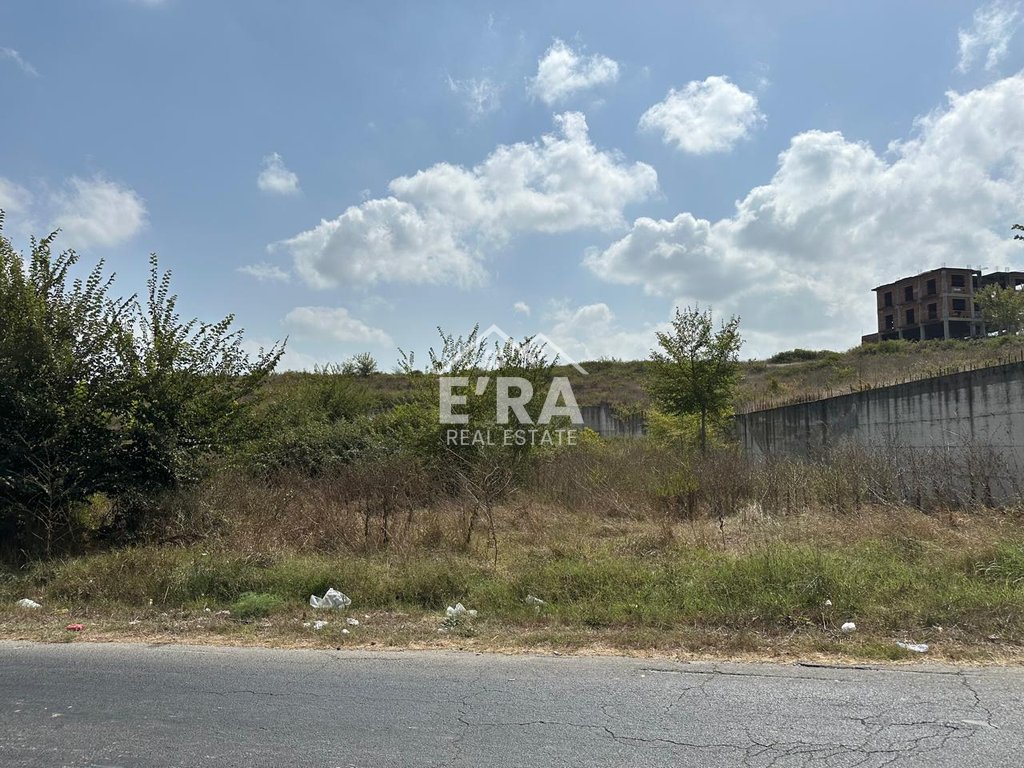 property-4