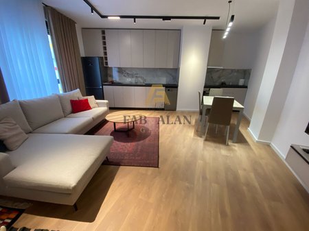 TEK KOPSHTI ZOOLOGJIK APARTAMENT 1+1 PER QERA!