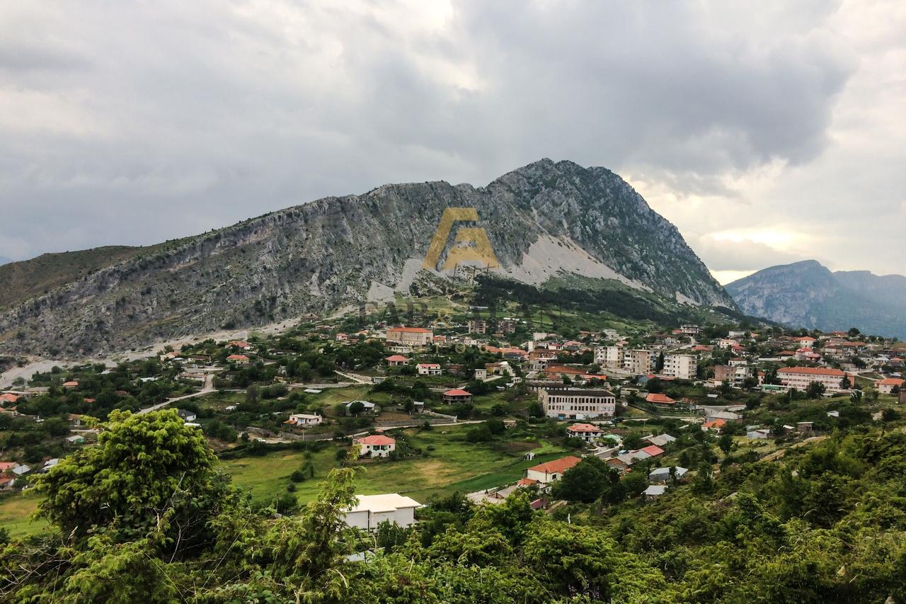 NE KOLONJE 500 HA TOKE PER SHITJE!