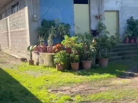 SHITET SHTEPIA 2-KATESHE NE  VLORE!