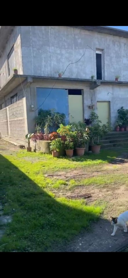 SHITET SHTEPIA 2-KATESHE NE  VLORE!