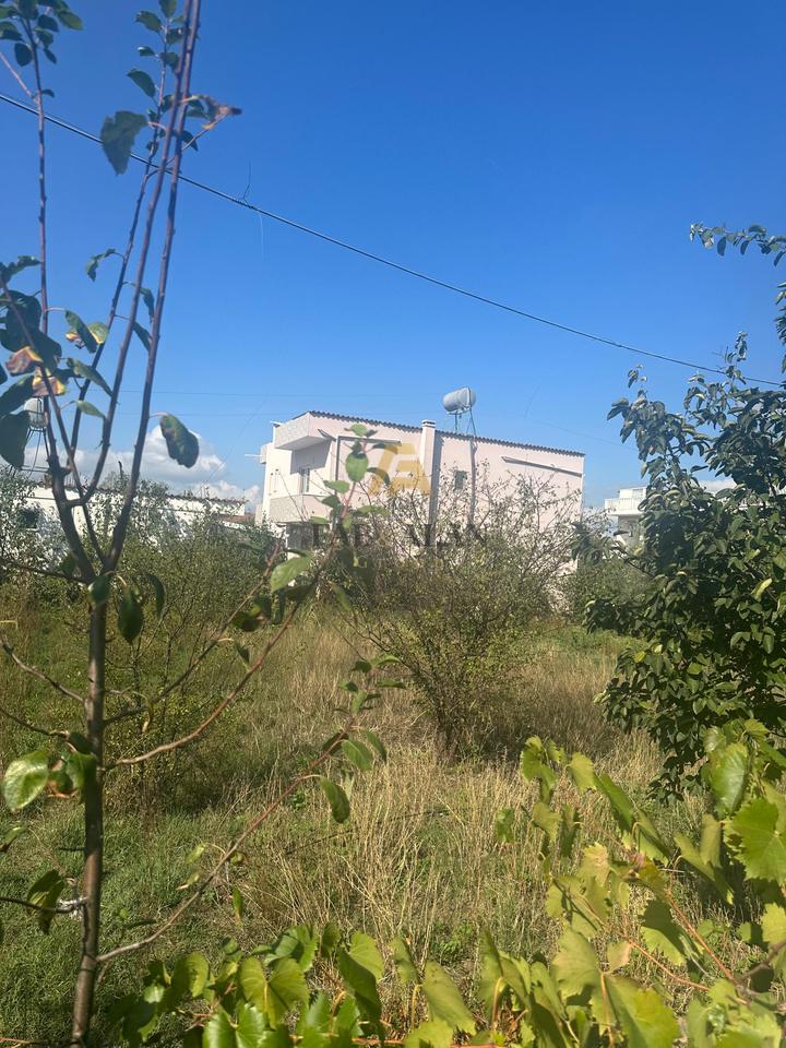 Shitet Tokë në Rrugë Kryesore – Rruga Monarkia, Kamëz