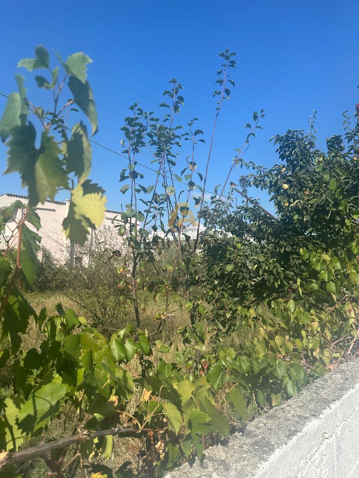 Shitet Tokë në Rrugë Kryesore – Rruga Monarkia, Kamëz