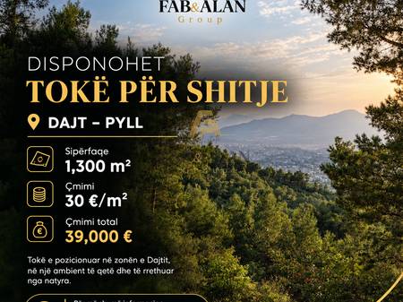  DISPONOHET TOKË PËR SHITJE – DAJT, PYLL