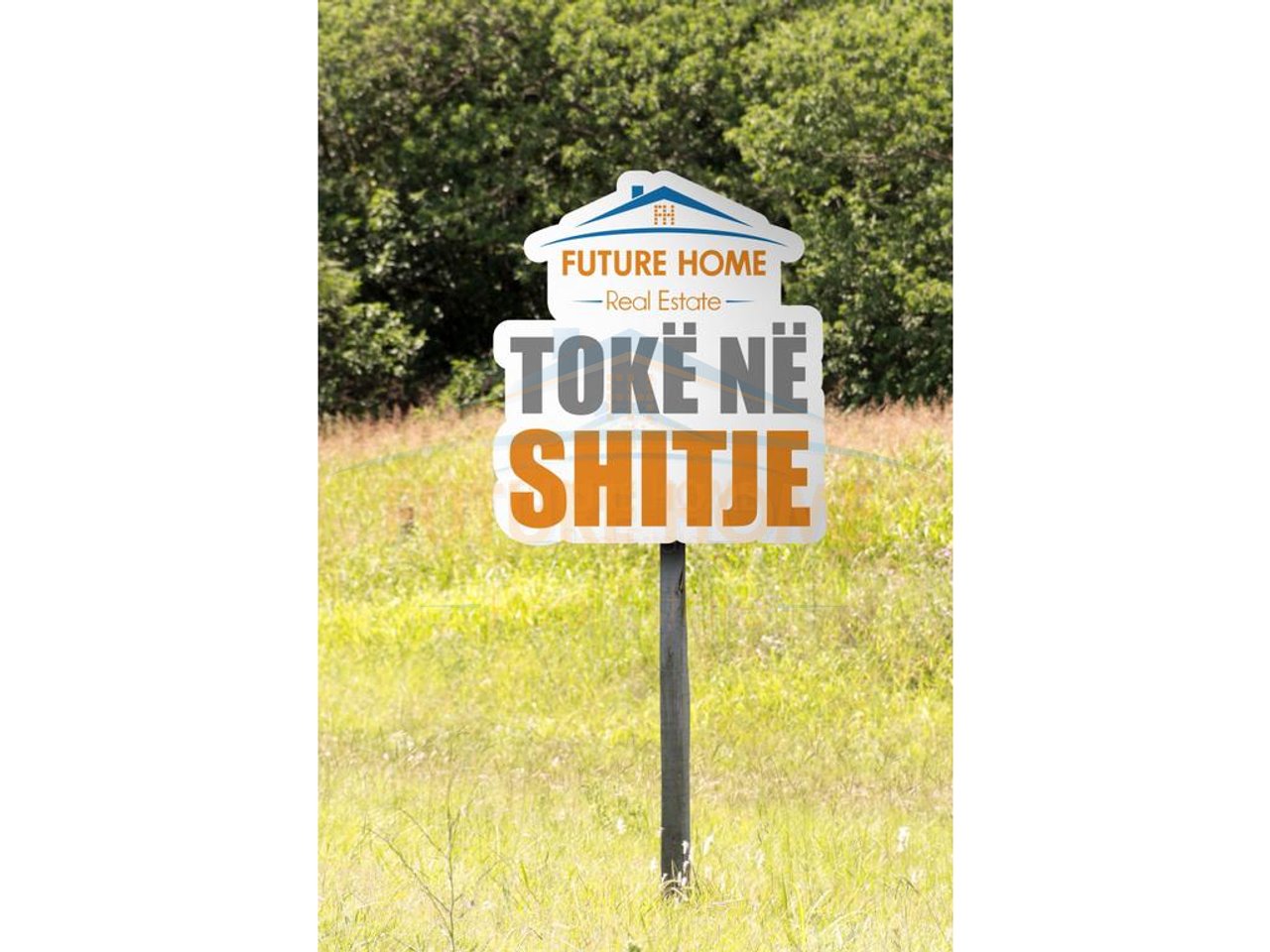 Shitet , Toke, Qerret, Durres.