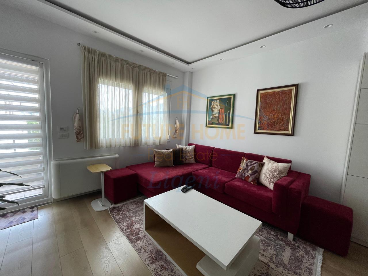 Rent, Apartment 2+1, Dry Lake, Tirana.