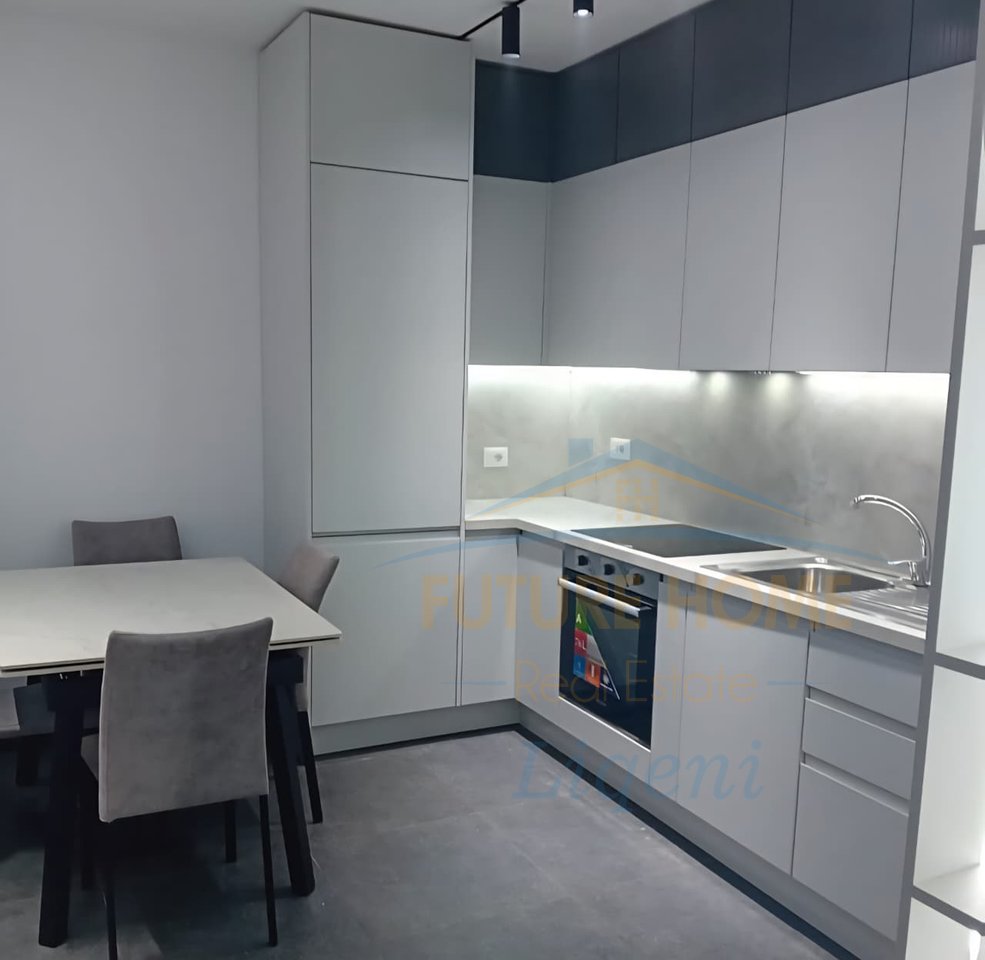 Rent, 1+1 Apartment, New Boulevard, Tirana.