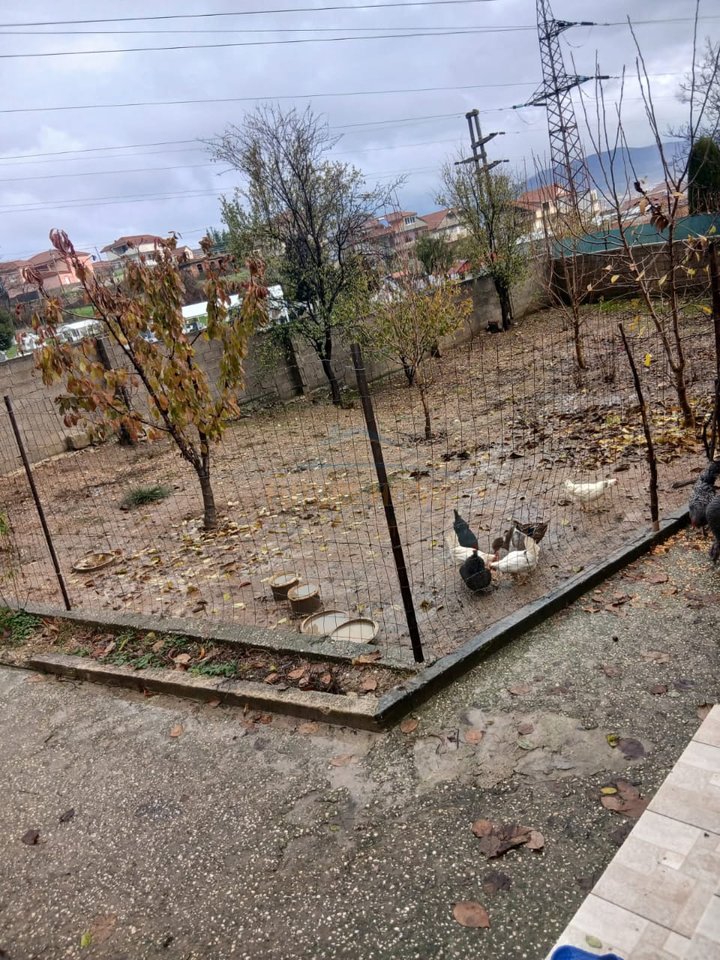 Shitet , Shtëpi Private , Vërdovë , Pogradec