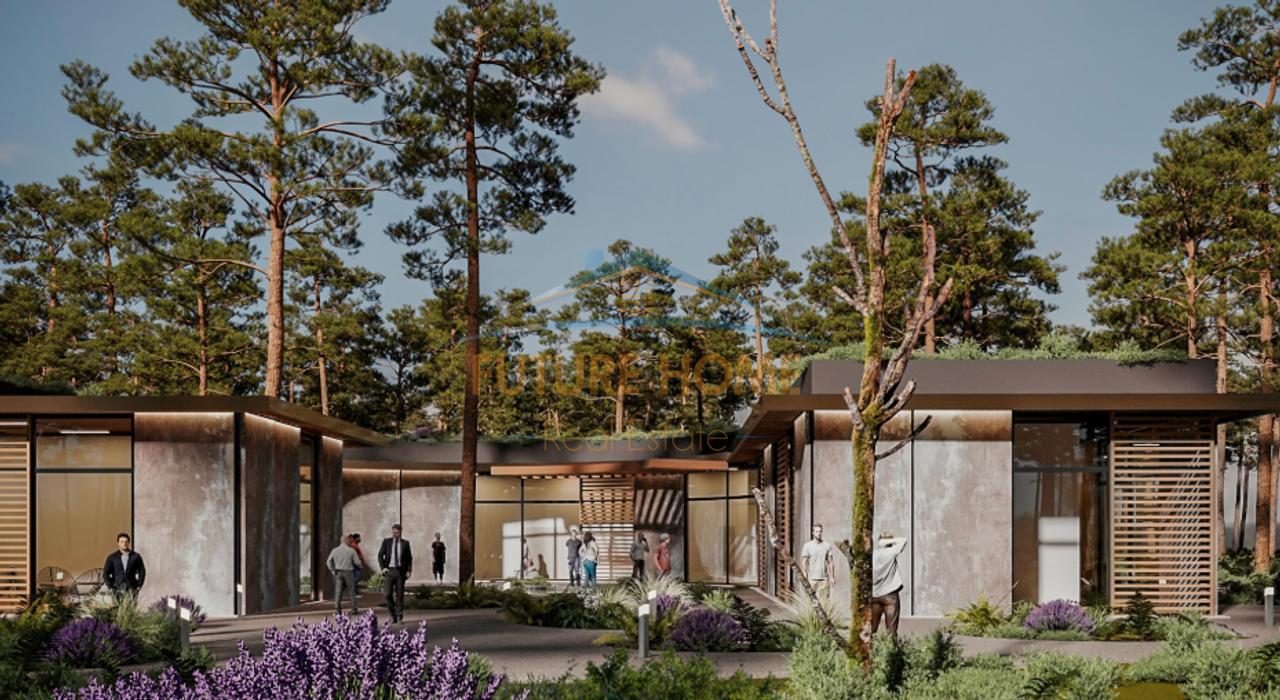 Shitje, Penthouse, Porto Lalzi, Hamallaj