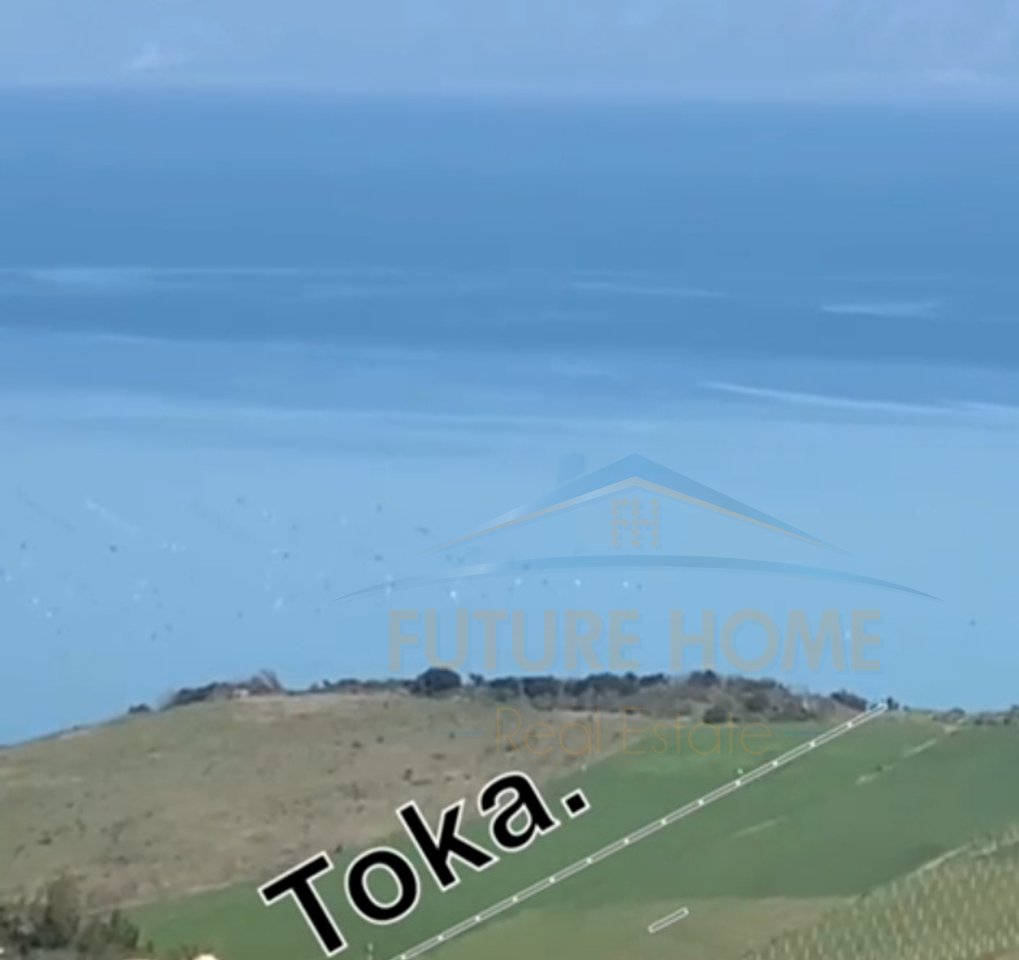 Toke for Sale, Cape of Rodon, Durres.