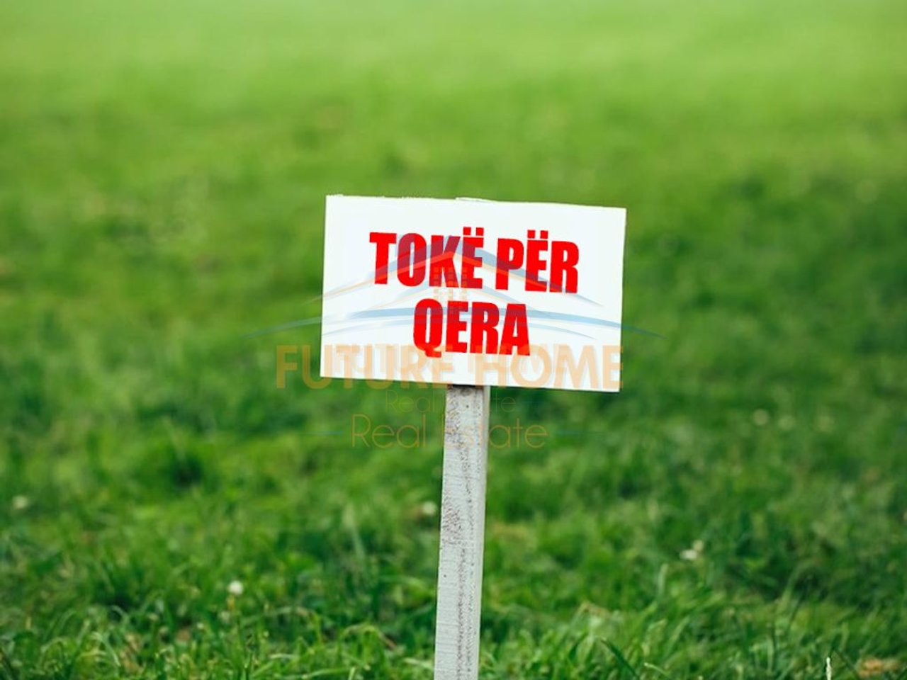 Rent, Land, Rinas.