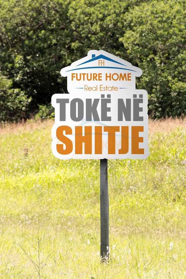 Shitet, Toke, Harizaj, Kavaje.