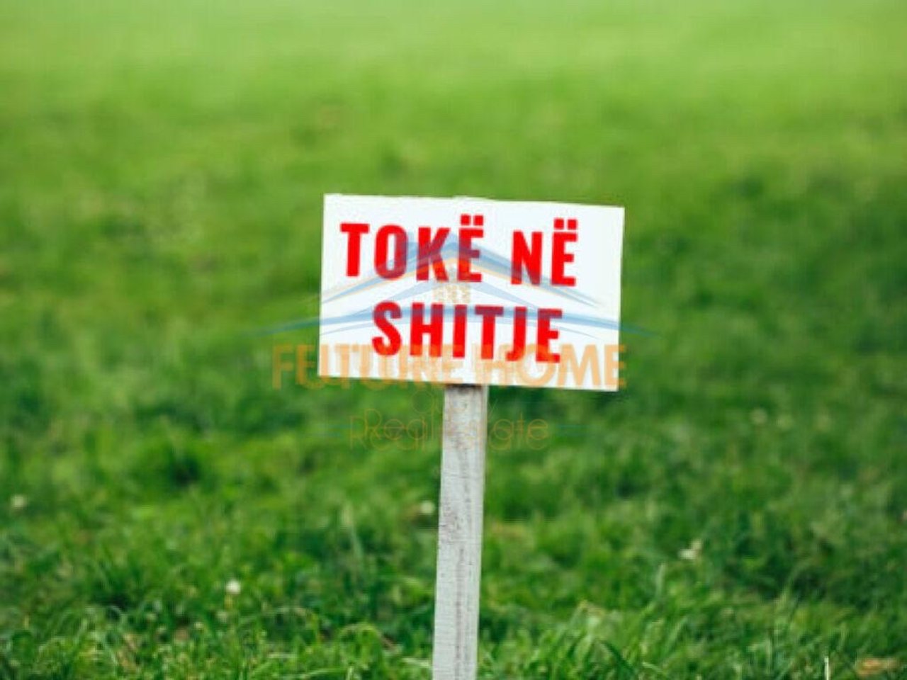 Shitet, Tokë, Rruga Miqësia, Kamzë.