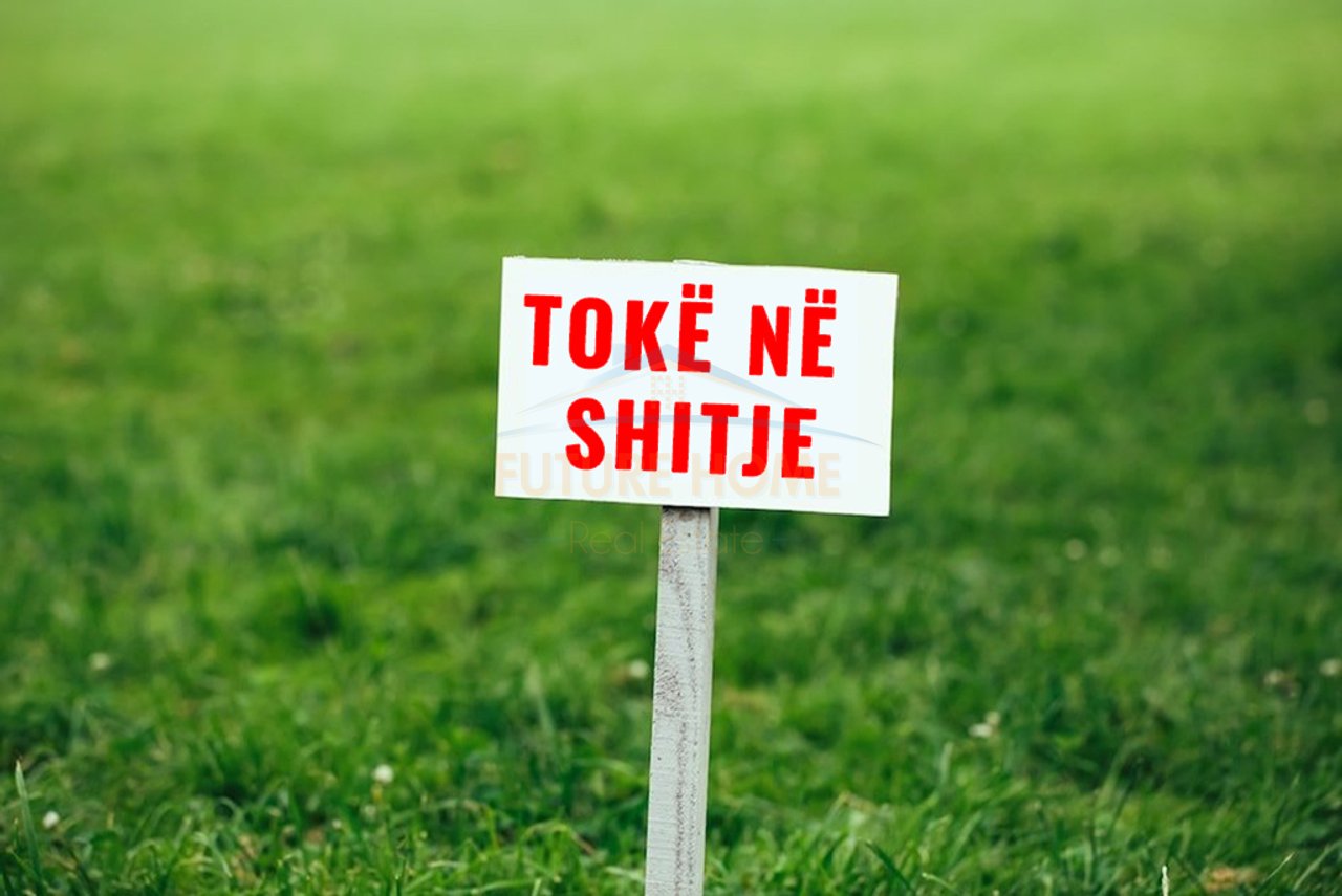 Shitet, Toke, Vorë e Vjetër, Tiranë.