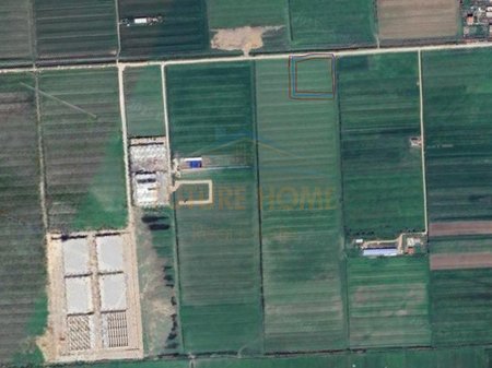 Shitet , Toke , BishtKamez , Durres