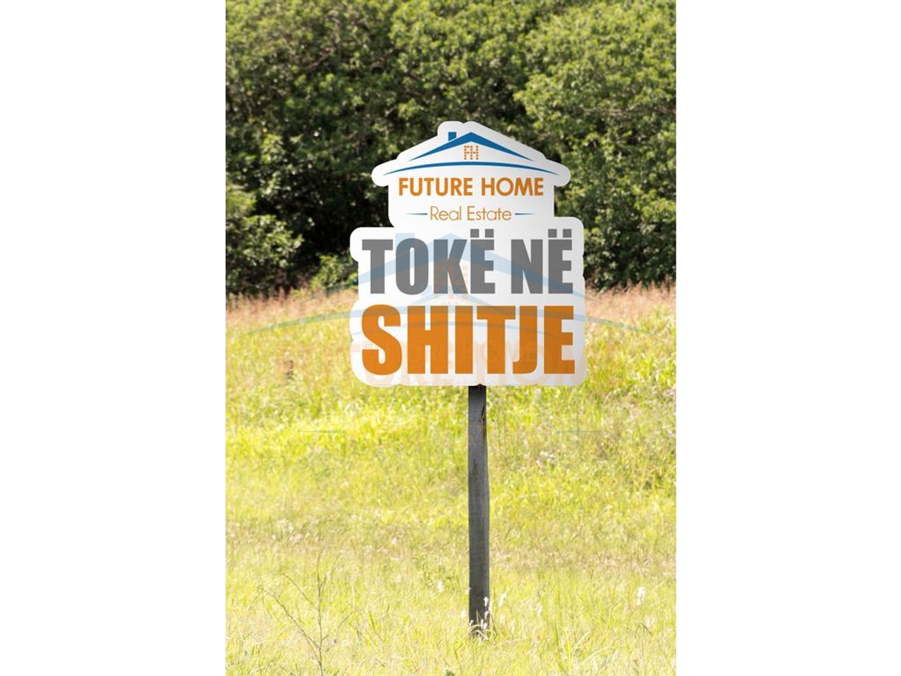 Shitet , Toke , Berzhite, Tirane