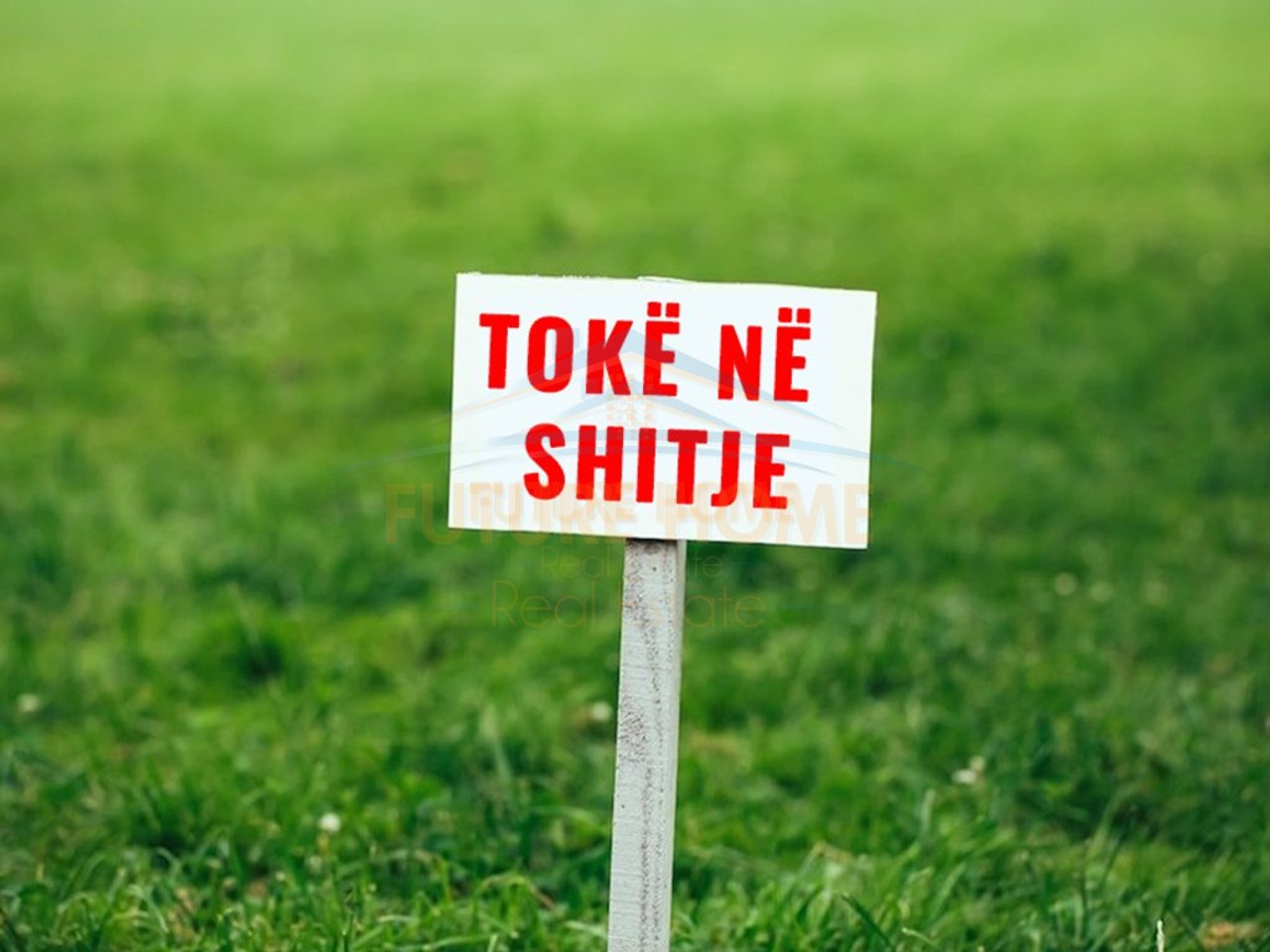 Shitet, Tokë , Vorë