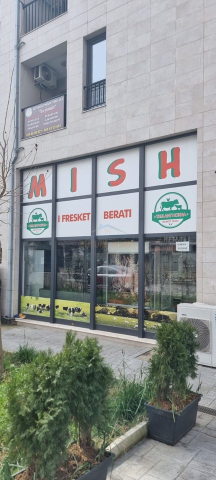 Rent,Business Environment,Yzberisht,Tirana