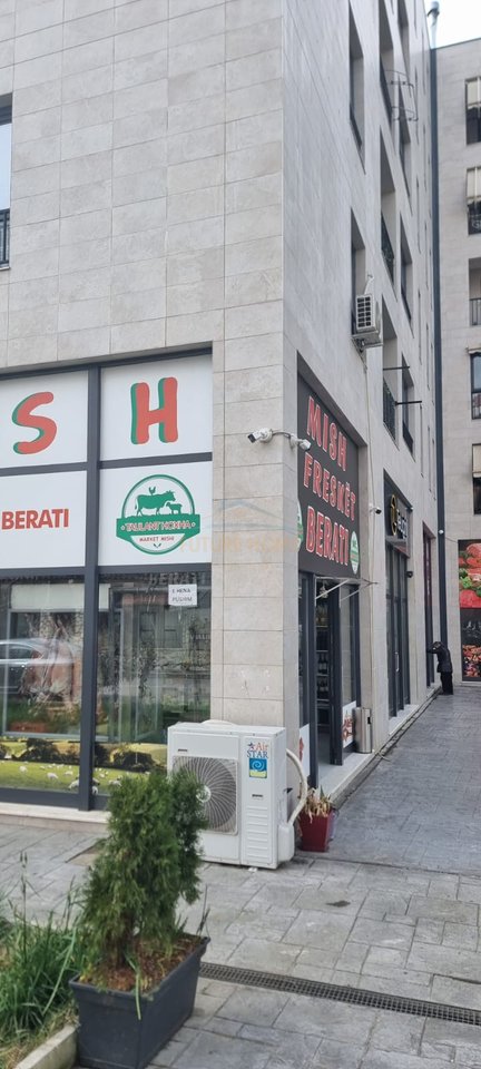 Rent,Business Environment,Yzberisht,Tirana