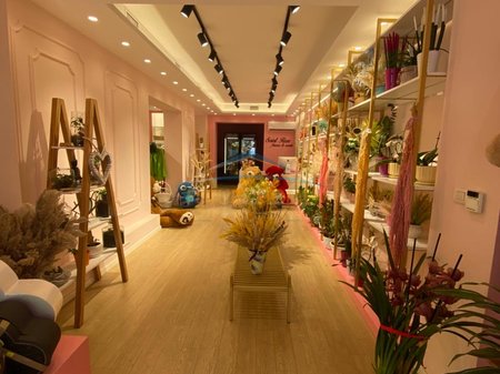 Shitet, Biznes, Dyqan Lulesh, në Rrugën Bardhyl, Tiranë.