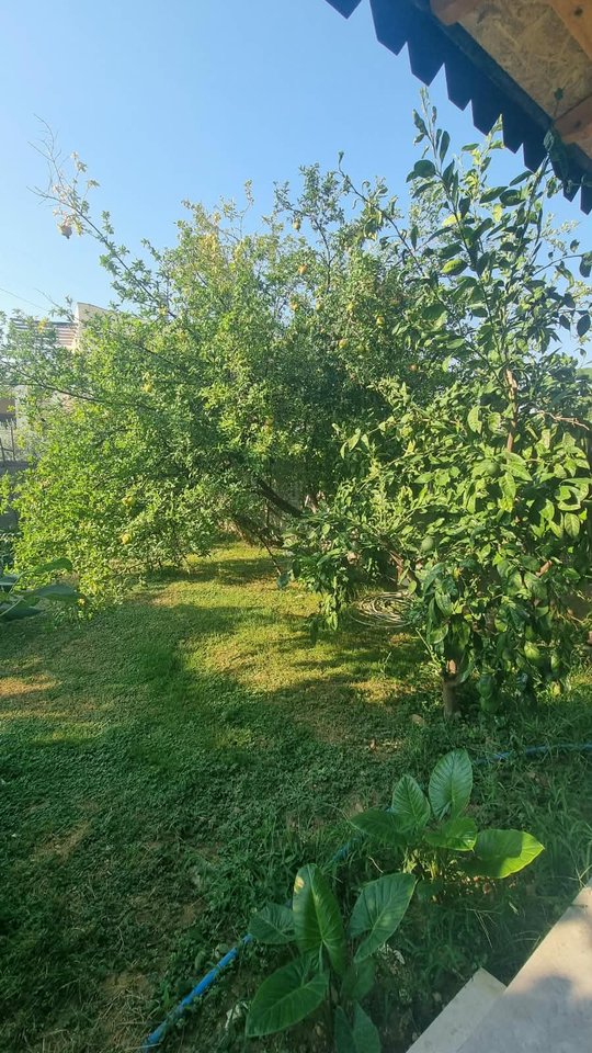 Rent, Apartment 1+1+ Parking Space, Siri Kodra Street, Tirana.