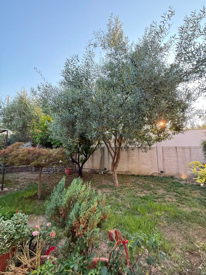 For sale, 2-Storey Villa, ¨Damian Humariti¨ Street, Vlorë