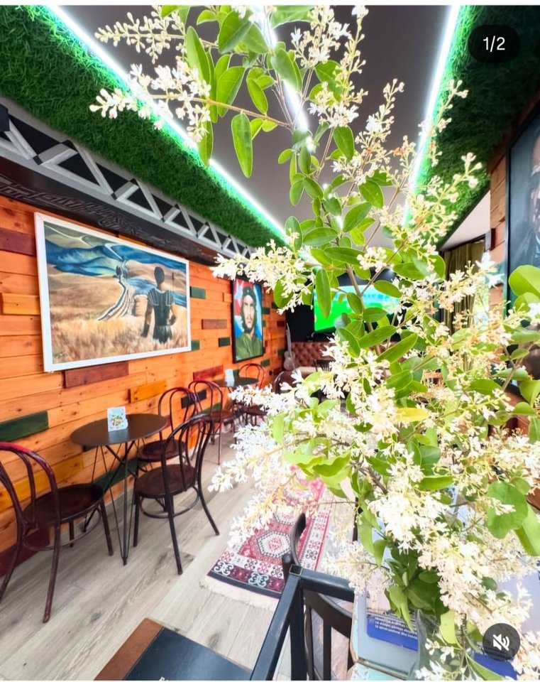 Shitet Biznesi, Fusha e Aviacionit, Tirane