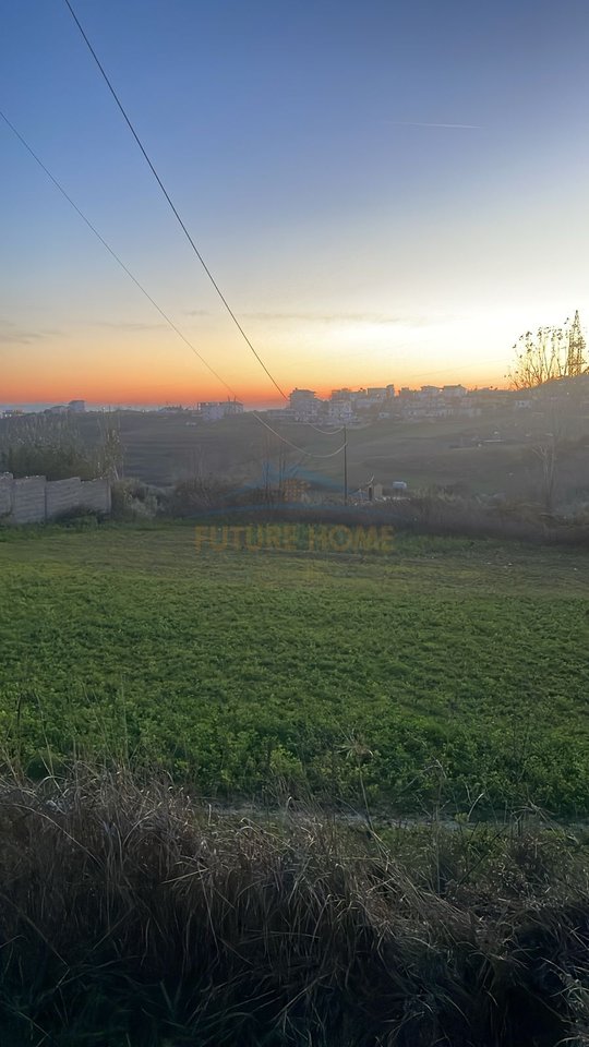 Shitet, Toke, Arapaj, Durrës.