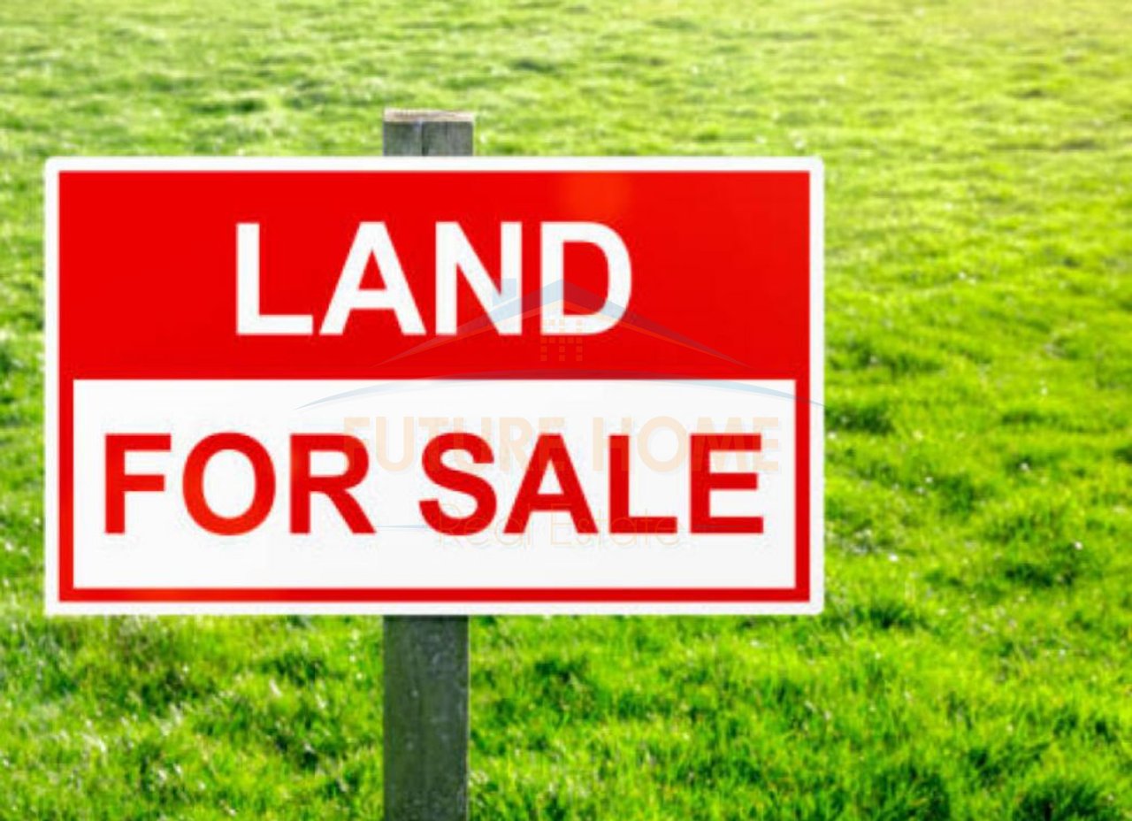 Shitet, Toke, Yzberisht