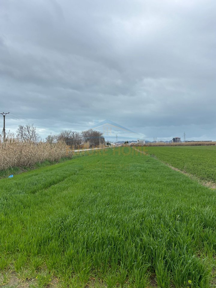Shitet, Tokë, Autostrada Dr-Tr, km.6 Durrës