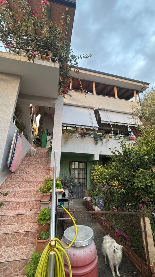 Qira, 3 Kateshe Building, Mitaq Sallata Street, Vlore