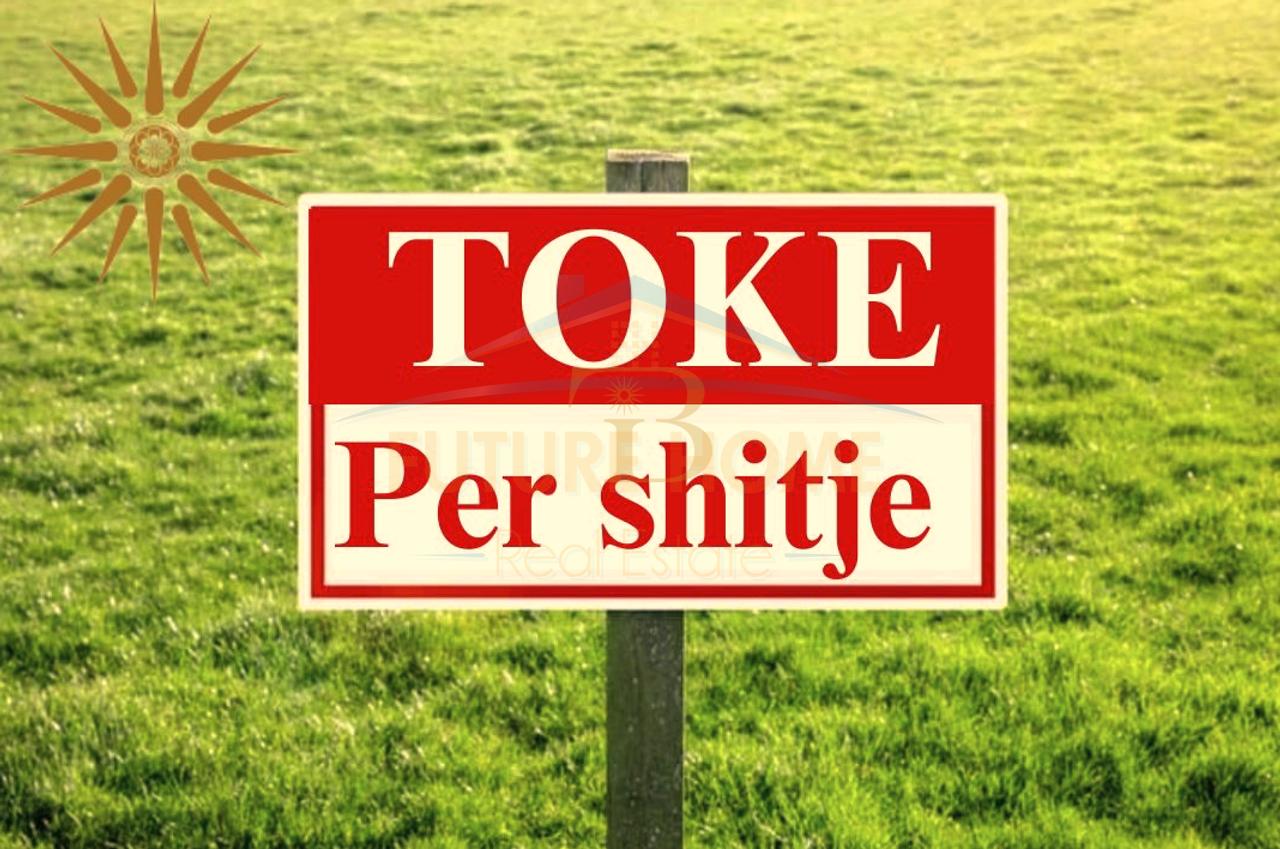 Terreno in Vendita, Qeparo