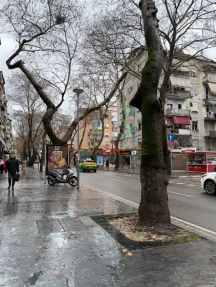 Qera, Ambient Komercial, Myslym Shyri