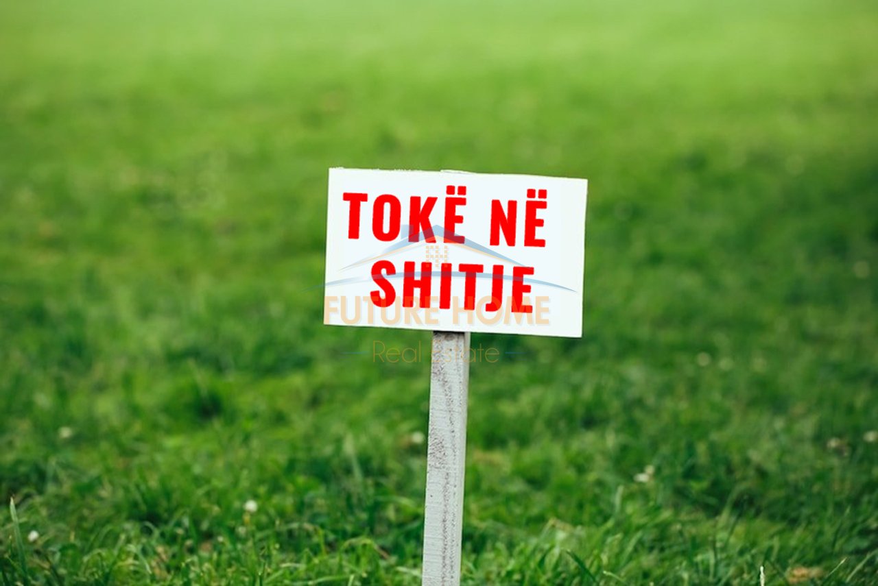 Shitet, Truall, Bulevardi Bajram Curri, Tiranë.