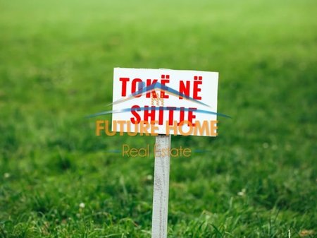 Shitet, Tokë, Yzberisht, Tiranë.