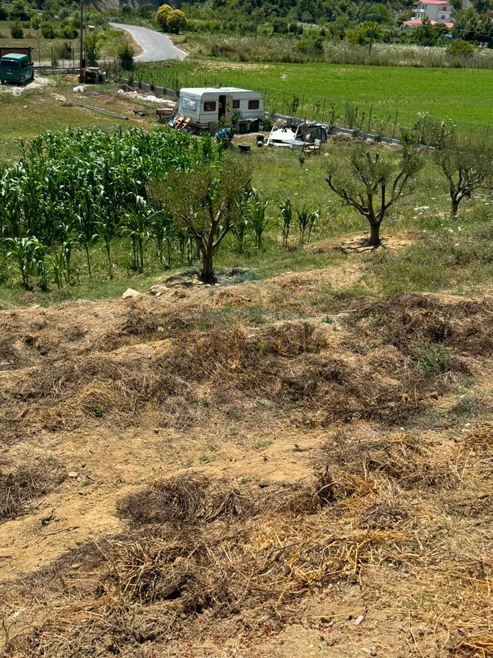In vendita, Terreno, Pezë