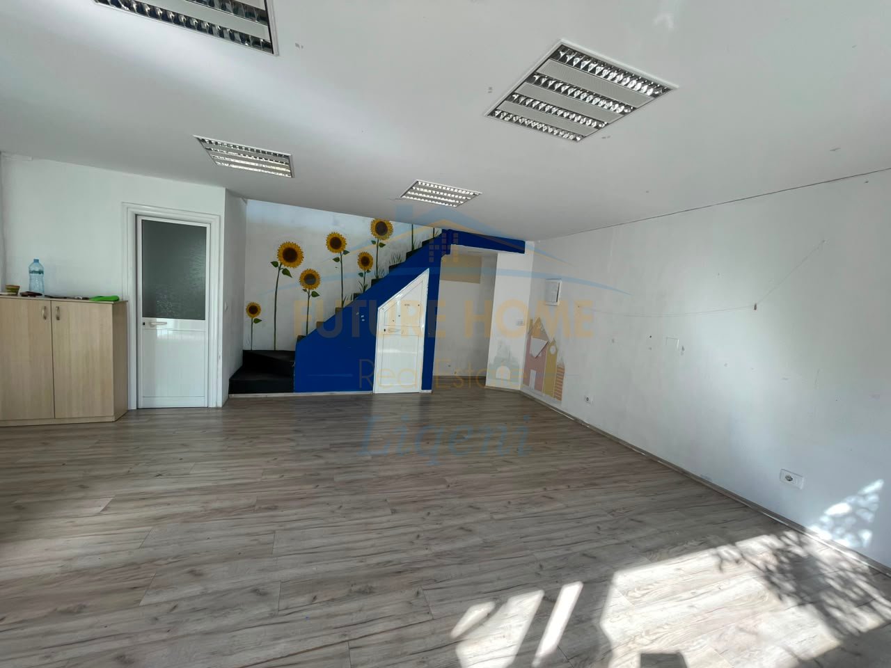 Rent, Business Environment, Duplex, Zoo, Tirana.