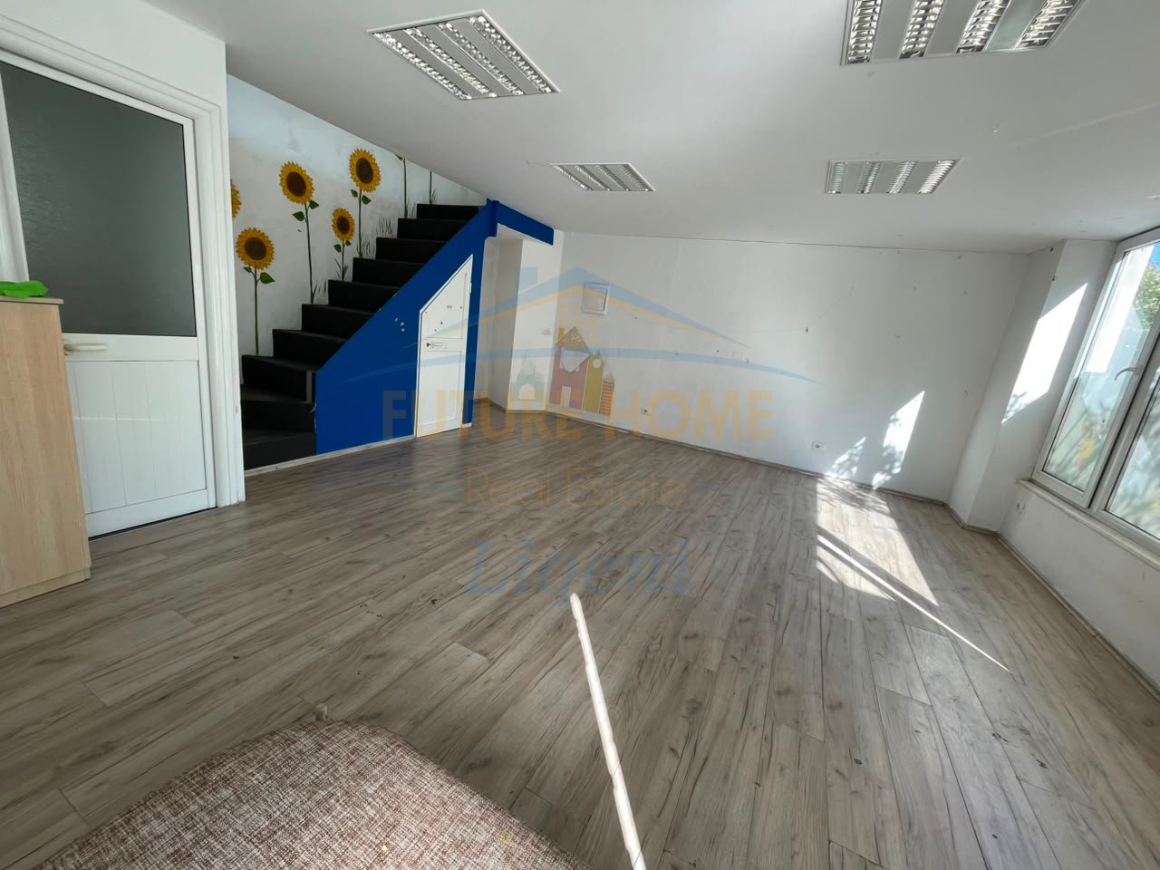 Rent, Business Environment, Duplex, Zoo, Tirana.