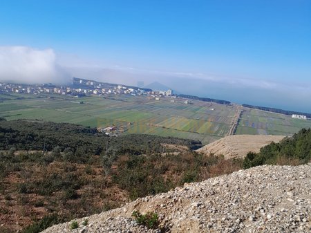 Shitet , Toke , Kavaje