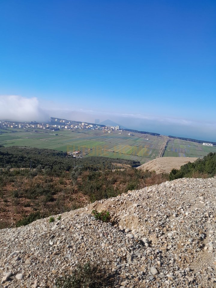 Shitet , Toke , Kavaje