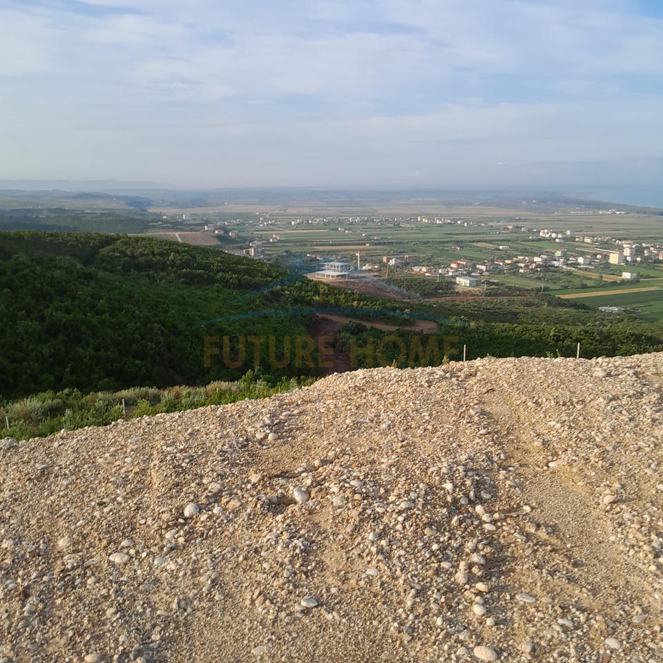 Shitet , Toke , Kavaje