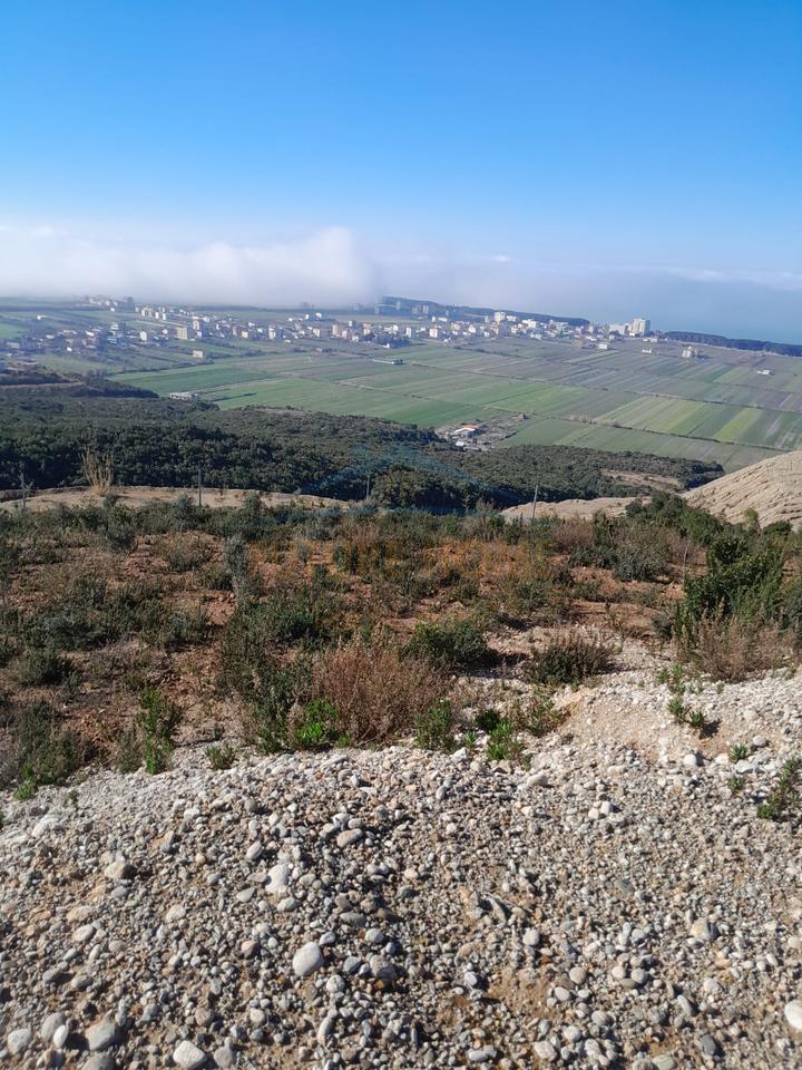 Shitet , Toke , Kavaje