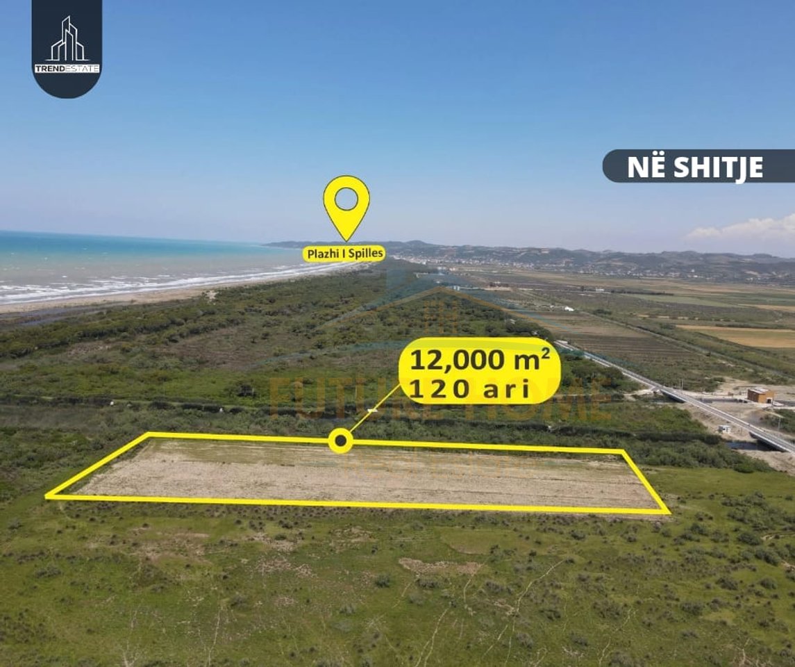 Shitet, Tokë,  Spille,Hauzi i Vile Boshtoves