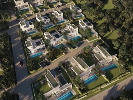 Shitet, Vile Individuale, Green Coast II